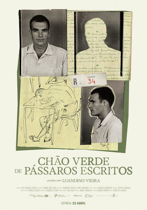Chão Verde de Pássaros Escritos (2026) poster
