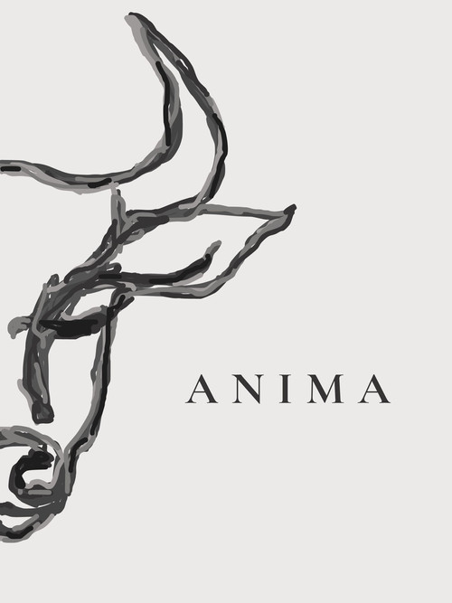 ANIMA (2025) poster
