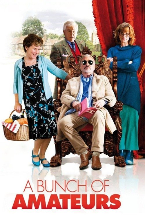 Bir Grup Amatör (2008) poster