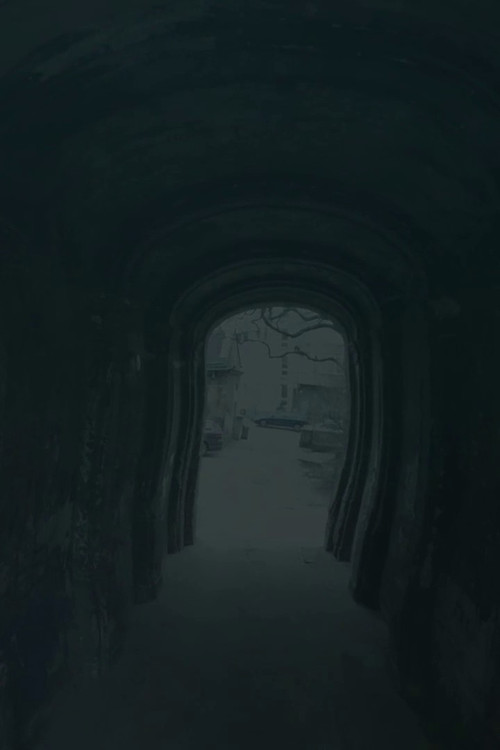 Ask The Siren poster