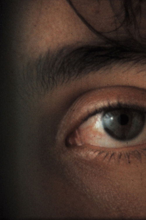 Shock Video (1985) poster