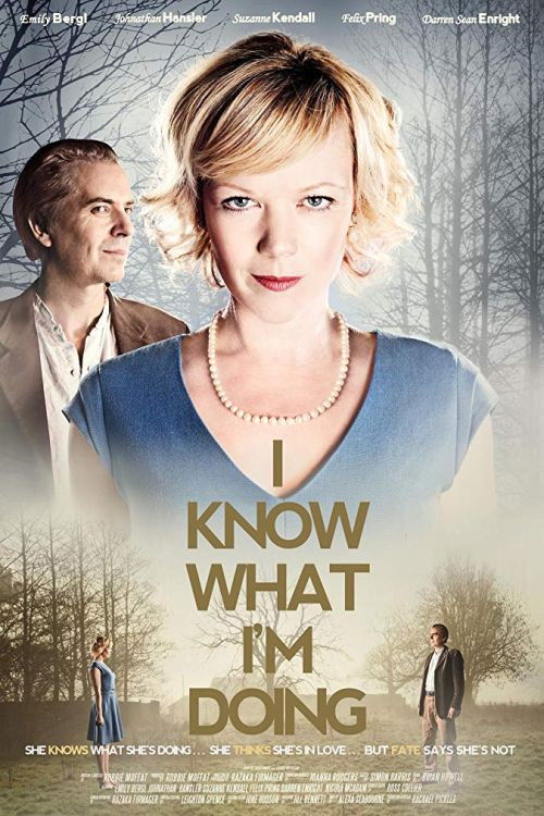 I Know What I'm Doing (2013) poster