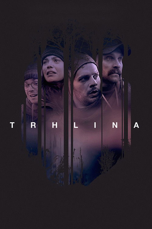 Trhlina (2019) poster