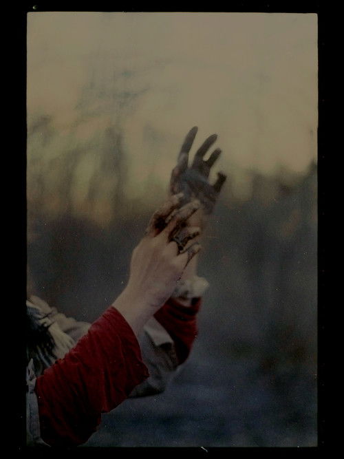 We Become a Field of Flowers poster