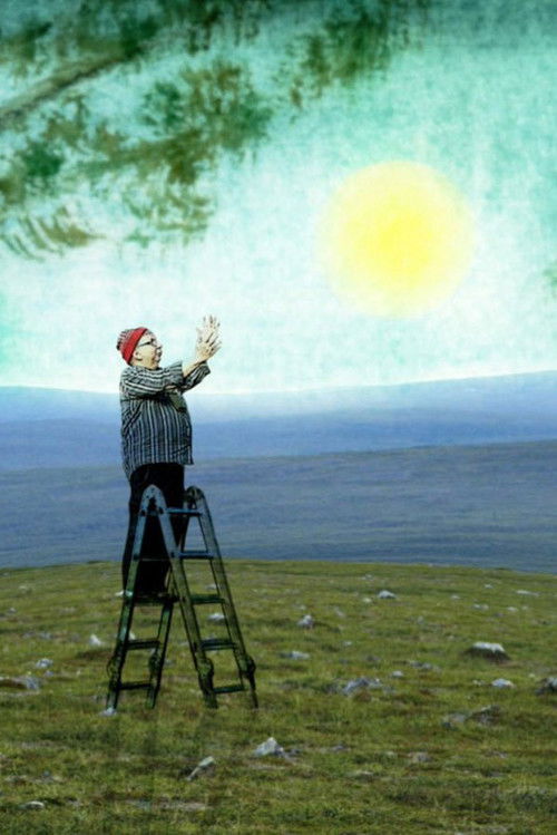 Le grand châle d'Aamu (2020) poster