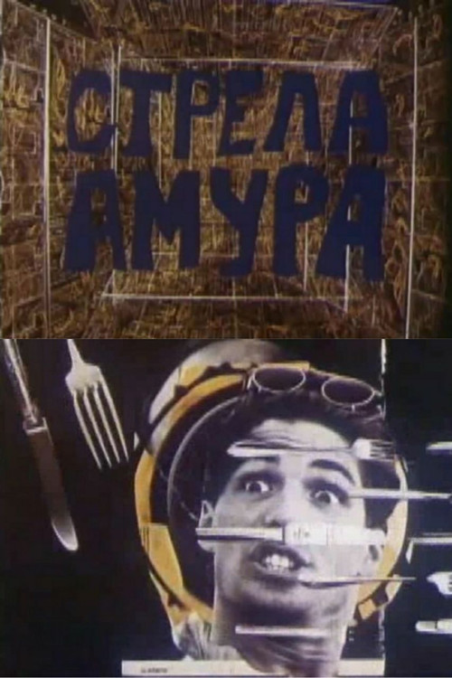 Cupid's Arrow (1993) poster