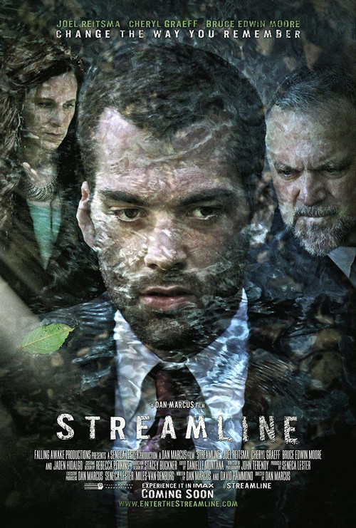 Streamline (2014) poster