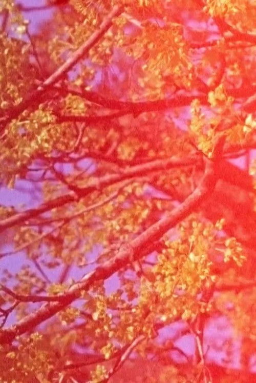 Ending (2017) poster