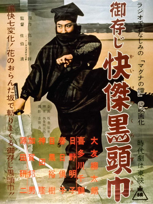 The Black Hooded Man (1955) poster