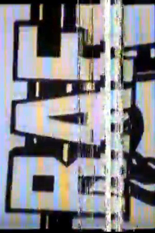 The Schleyer Tape (1979) poster