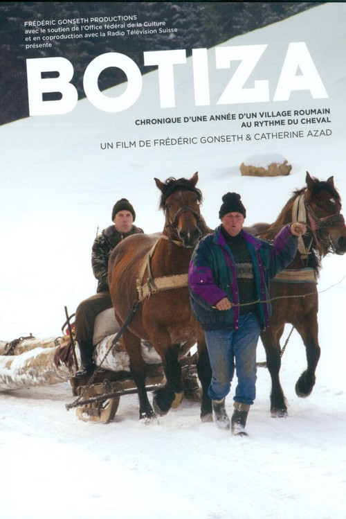 Botiza (2013) poster