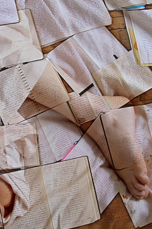 Exit Strategy #5 (2020) poster