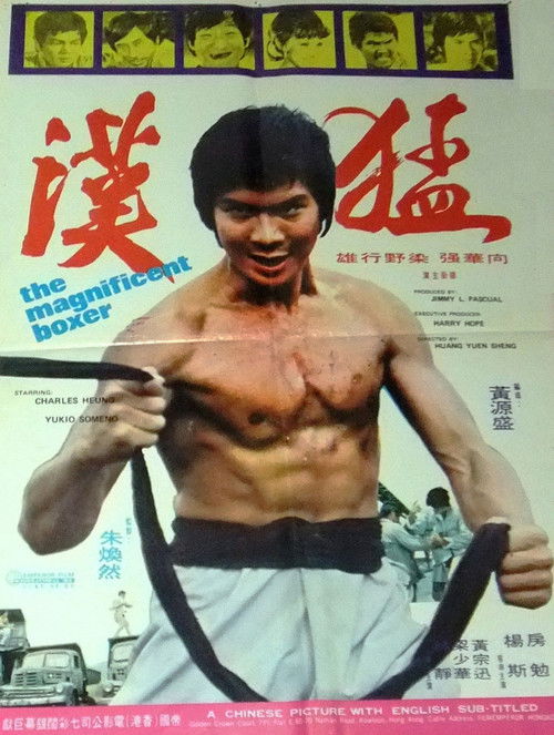 The Magnificent Boxer (1973) poster