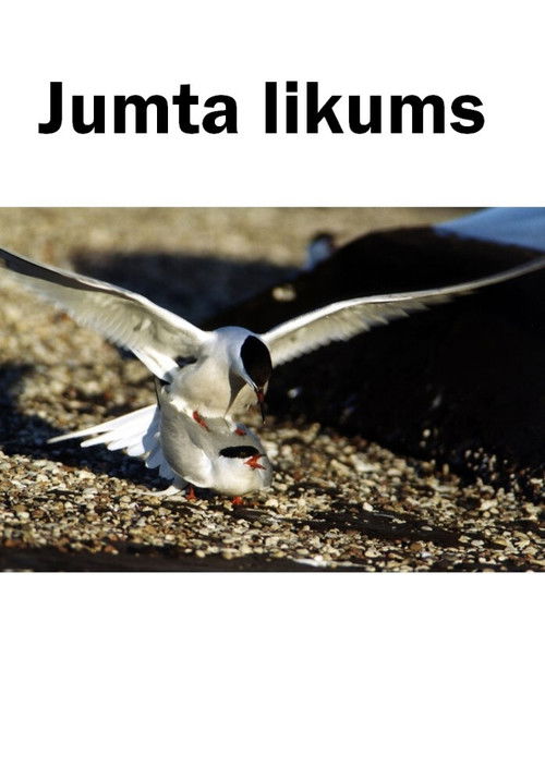 Roof on the Moonway (2001) poster