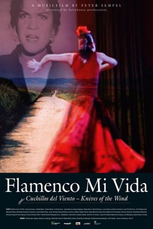 Flamenco mi vida - Knives of the wind (2008) poster