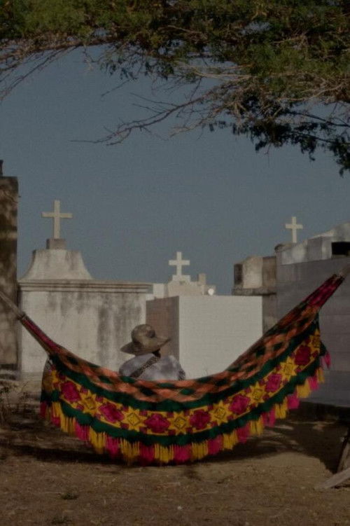 Dreams Travel With the Wind (2024) poster