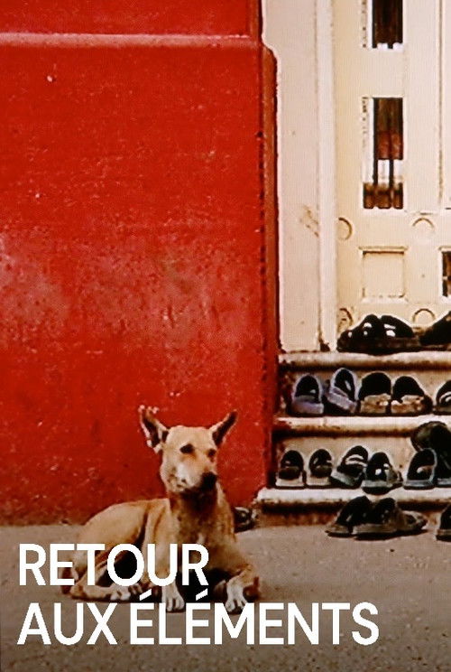 Back to the Elements (2010) poster