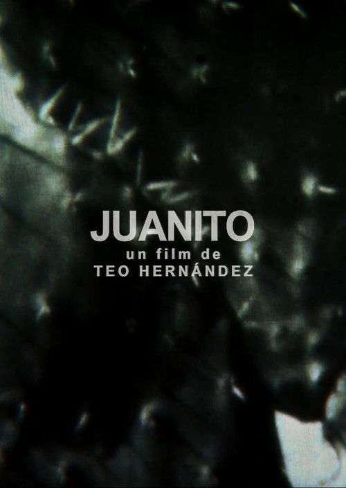 Juanito (1970) poster
