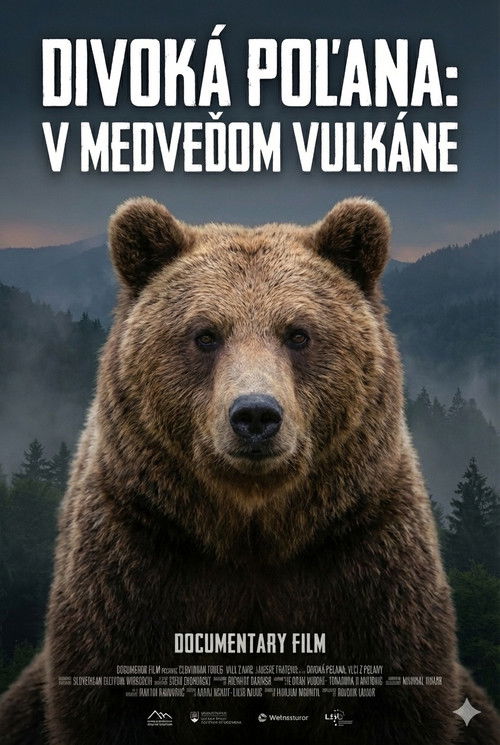 Divoká Poľana: V medveďom vulkáne (2023) poster