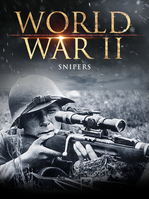 World War II: Snipers (2001) poster