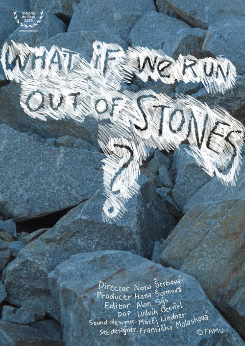 What If We Run Out of Stones? (2025) poster