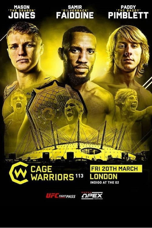 Cage Warriors 113: Fabinski vs. Stewart (2020) poster