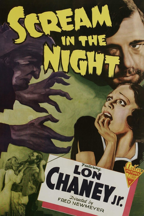 A Scream in the Night (1935) poster