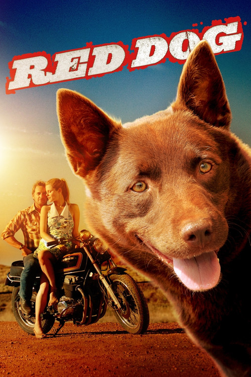 Kırmızı Köpek (2011) poster