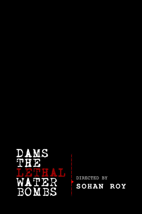 Dams: The Lethal Water Bombs (2011) poster