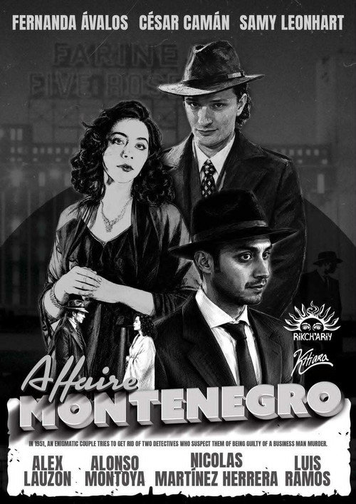 Affaire Montenegro poster