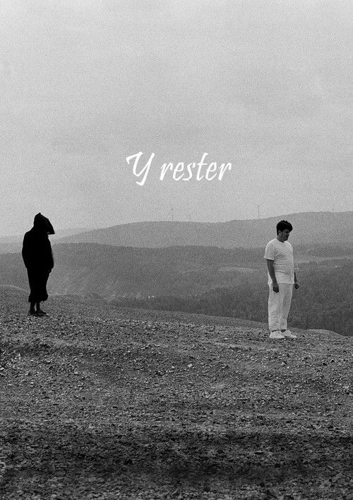 Y rester (2024) poster