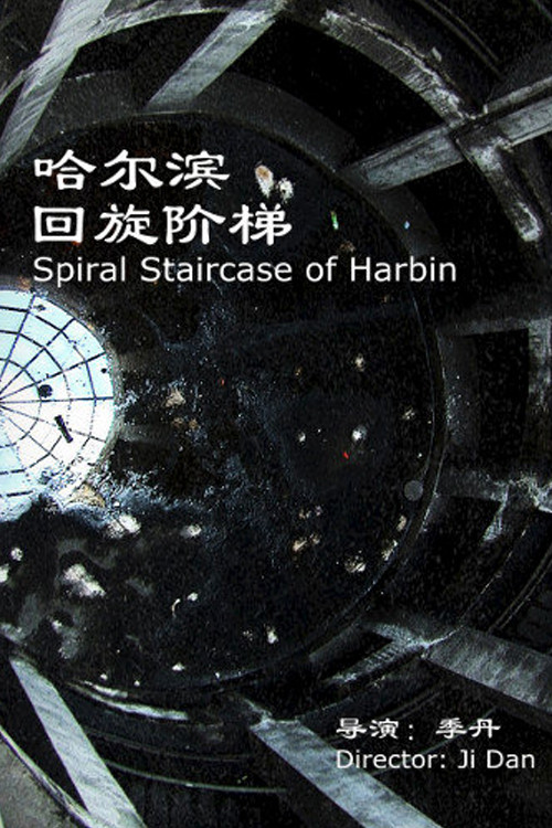 Spiral Staircase of Harbin (2009) poster