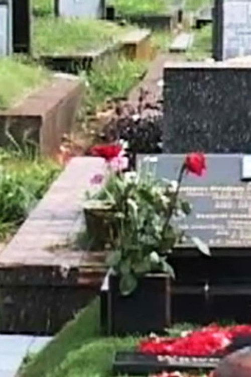 The Unfinished One (2008) poster