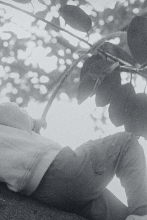 Fallen Noon (2026) poster