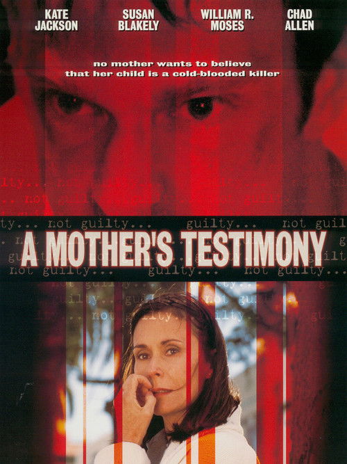 A Mother's Testimony (2001) poster