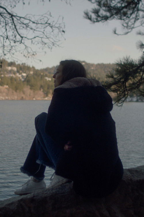 Captive (2024) poster