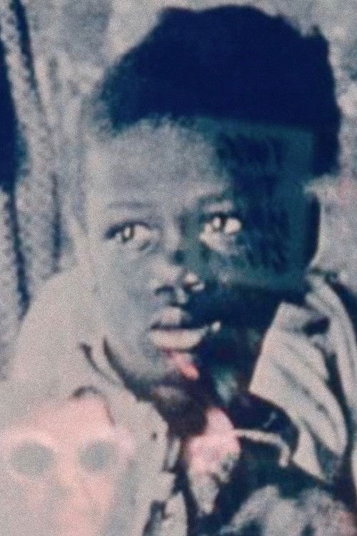 I & I: An African Allegory (1979) poster