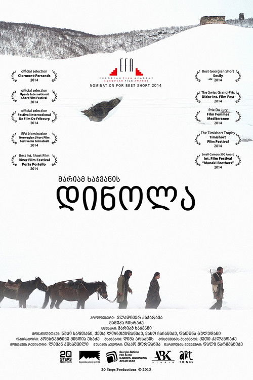 Dinola (2013) poster