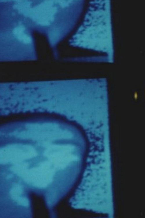 Thermoment (1998) poster