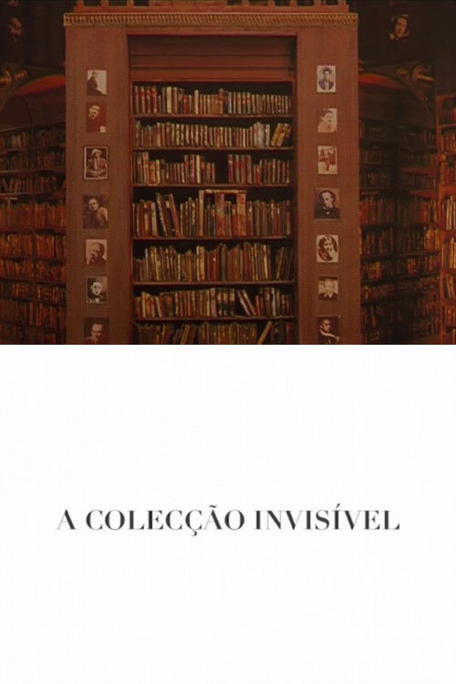 The Invisible Collection (2009) poster