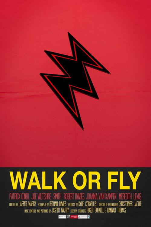 Walk or Fly (2012) poster