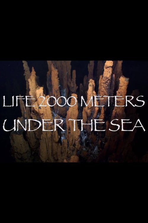 Life 2,000 Meters Under the Sea (2014) poster