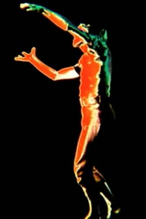 Steering My Own Destiny (1971) poster