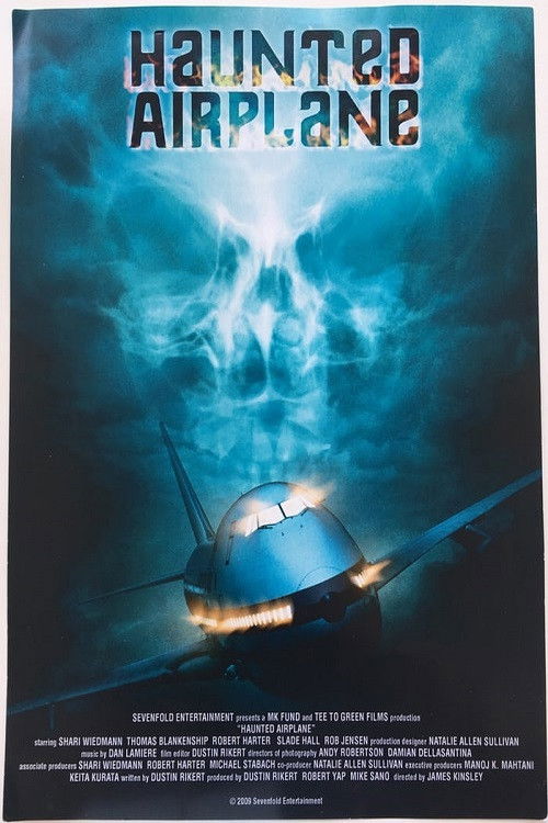 Haunted Airplane (2009) poster