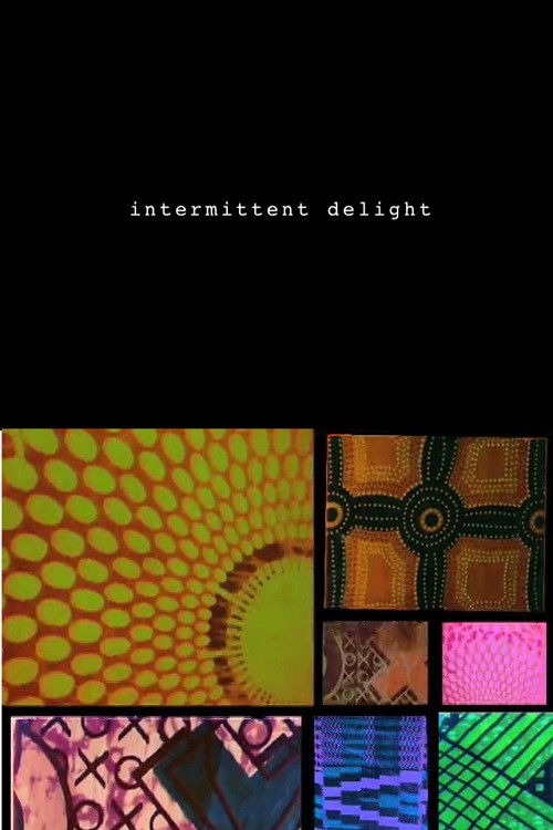 Intermittent Delight (2007) poster