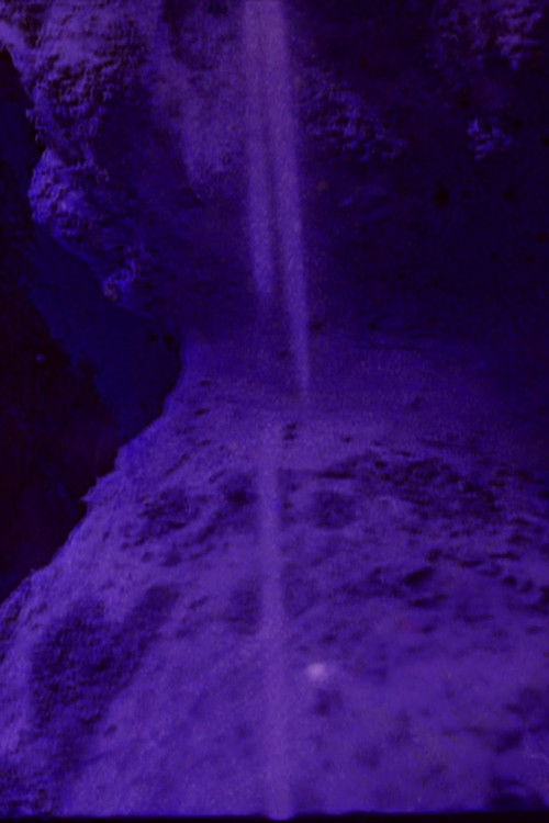 CICATRIX (2014) poster