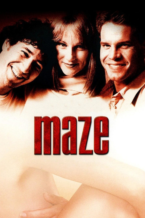 Maze (2001) poster