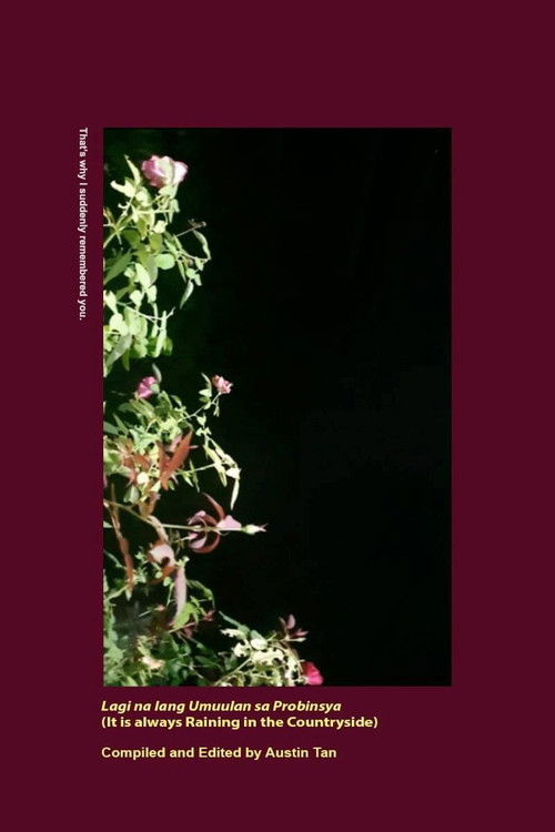 It Is Always Raining in the Countryside (2023) poster