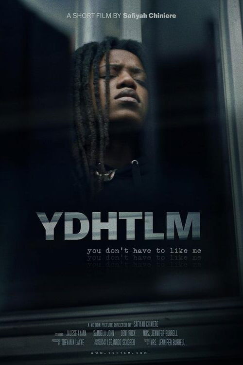 YDHTLM: You Don't Have to Like Me (2023) poster