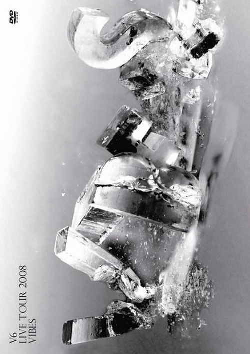 V6 LIVE TOUR 2008 VIBES (2009) poster